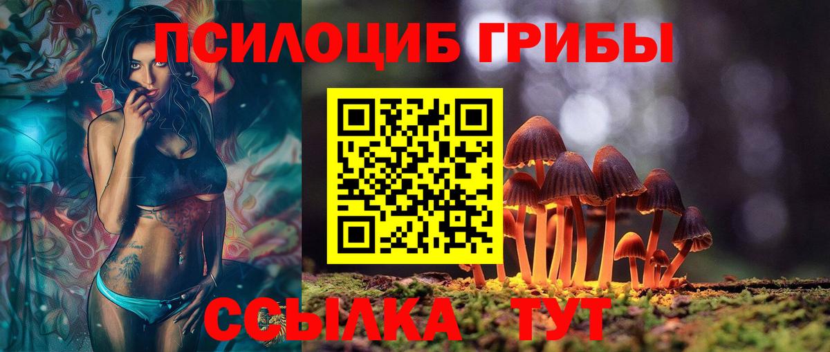 Галлюциногенные грибы GOLDEN TEACHER  Вход с VPN  Мурино 